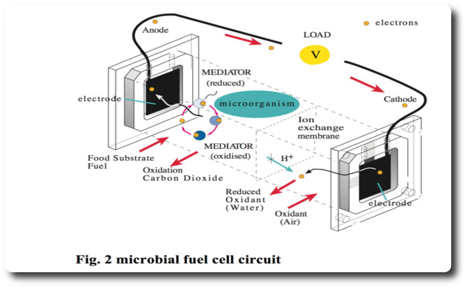 game-audio microbial fuel cell