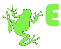 Cross-Disciplinary Frog Ltd